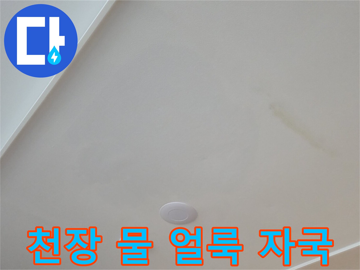 아랫집 거실 천장에 발생한 누수 흔적과 젖은 얼룩