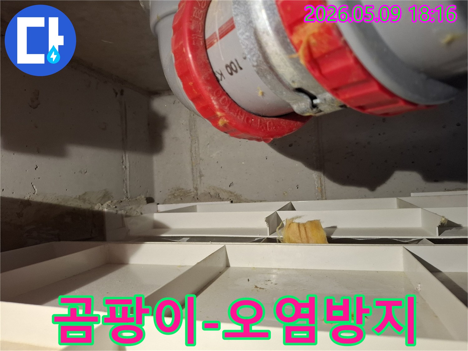 배관 누수로 인해 주변에 물이 고여 곰팡이 발생이 우려되는 현장 모습입니다-신속한 조치가 필요합니다