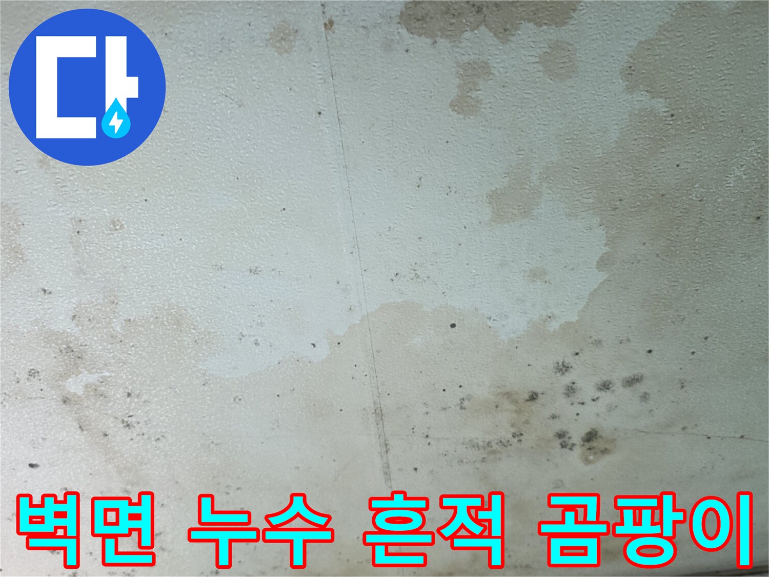 벽면을 따라 번져있는 젖은 자국과 곰팡이 오염 부위