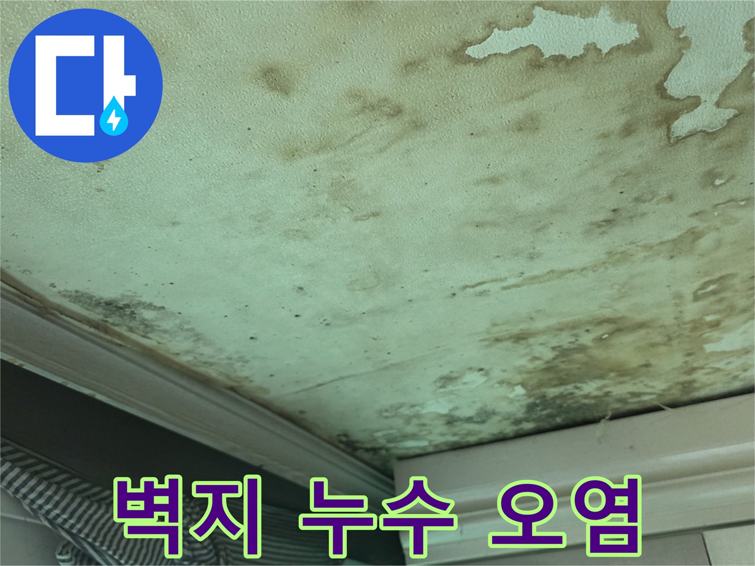 습기로 인해 얼룩진 천장 벽지의 곰팡이 발생 상태