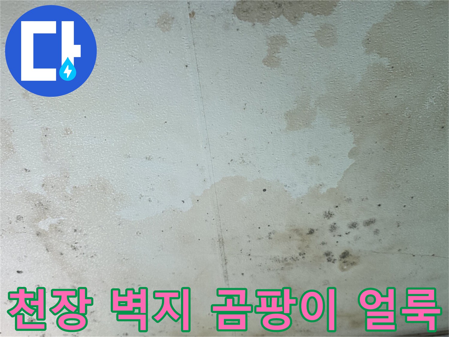 인천 유동 빌라 천장 벽지에 나타난 누수 흔적과 곰팡이 상태