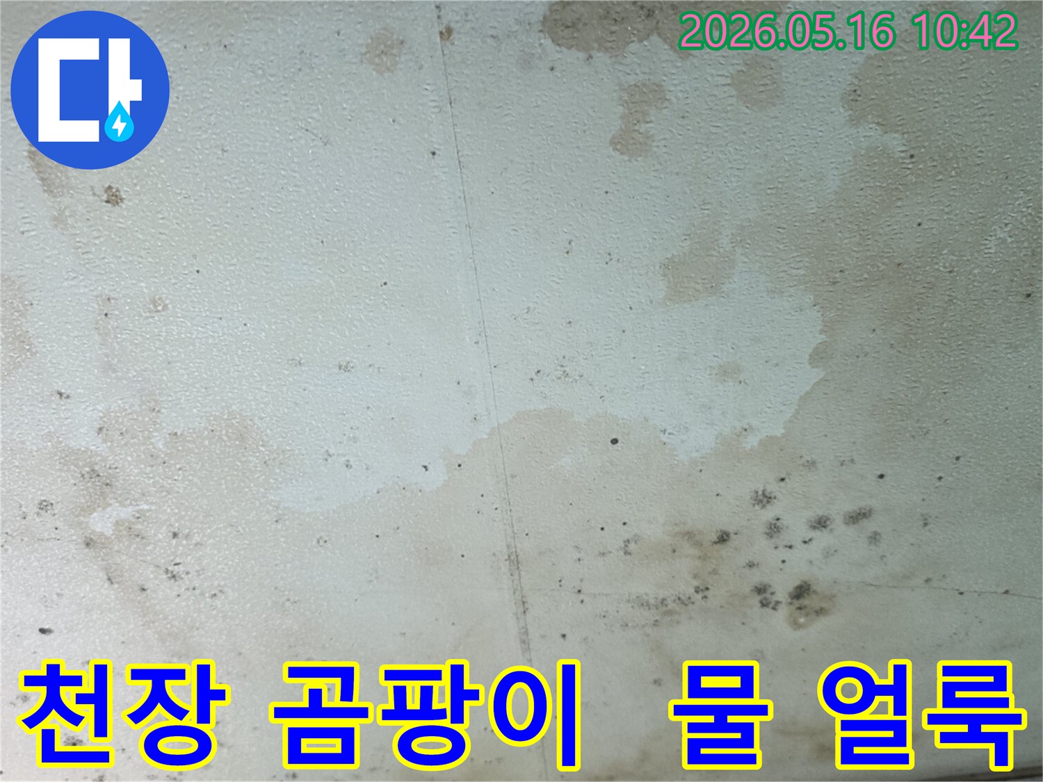 젖은-천장-표면에-번진-곰팡이와-물-자국-사진