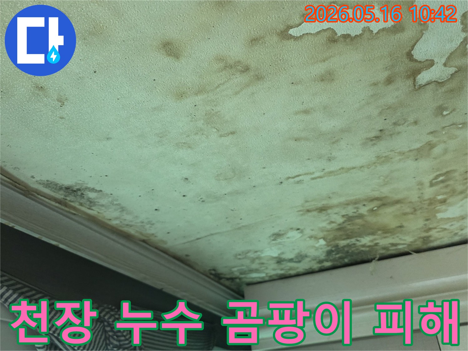 천장-누수로-인해-발생한-물자국과-곰팡이-피해가-심각한-현장-사진입니다