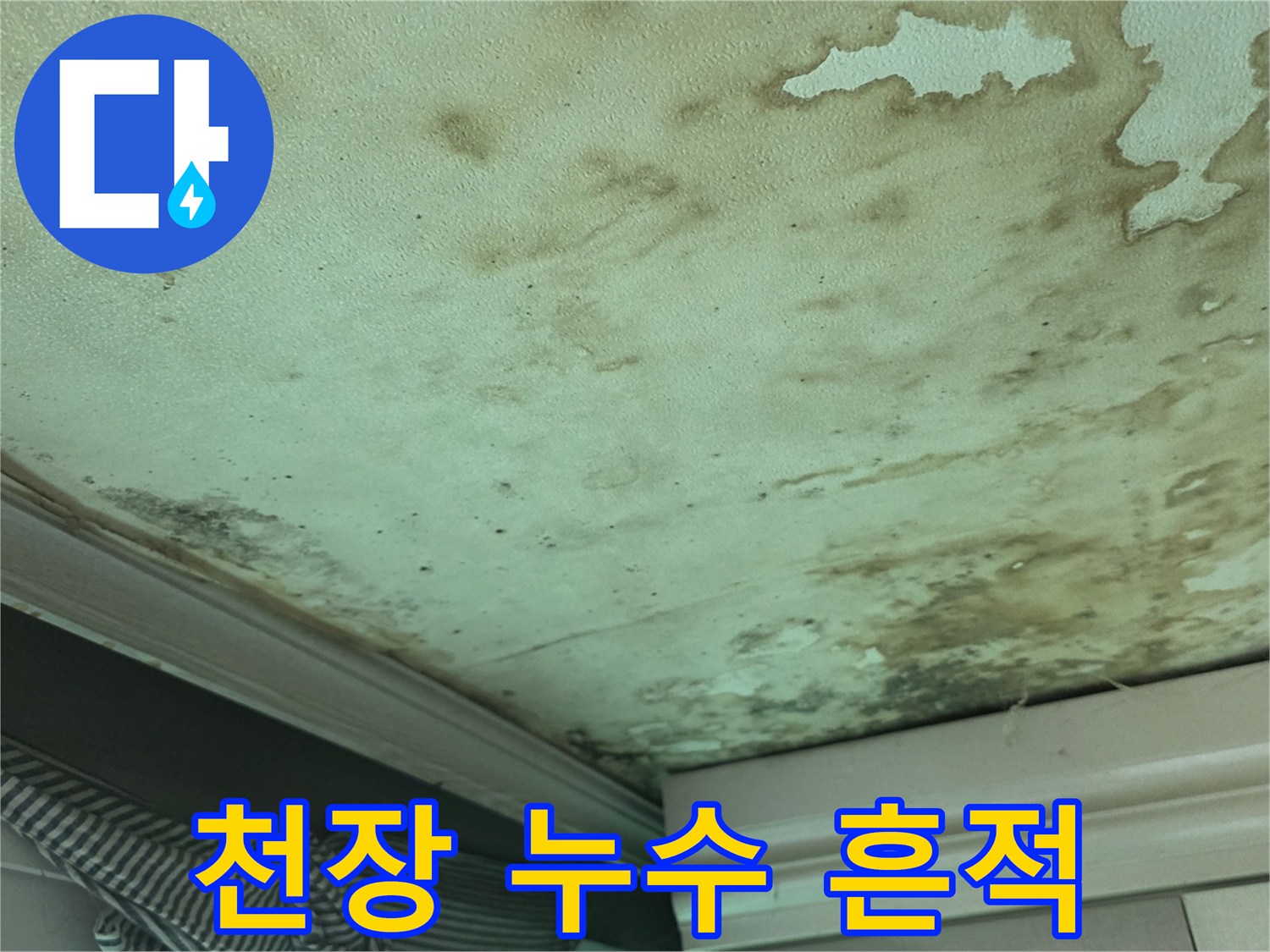 천장 마감재에 나타난 젖은 자국과 곰팡이 분포 현황