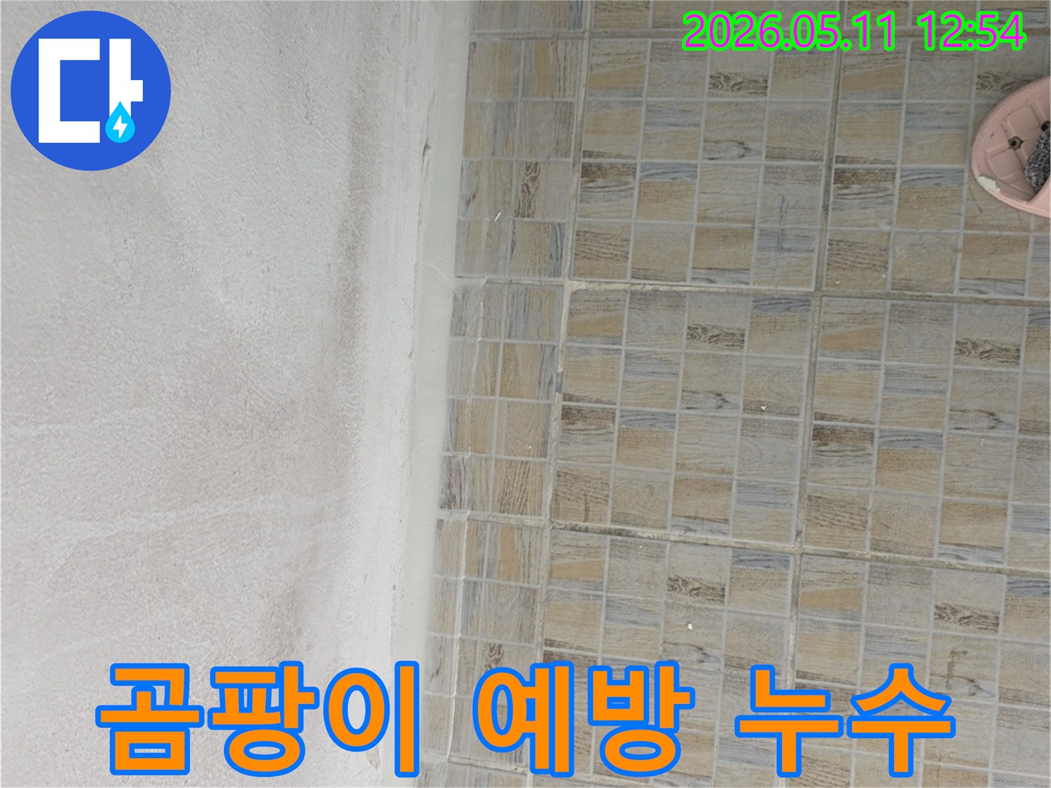 누수로 인해 습기가 찬 욕실 천장과 바닥 타일의 모습-곰팡이 발생 전 조치 필요