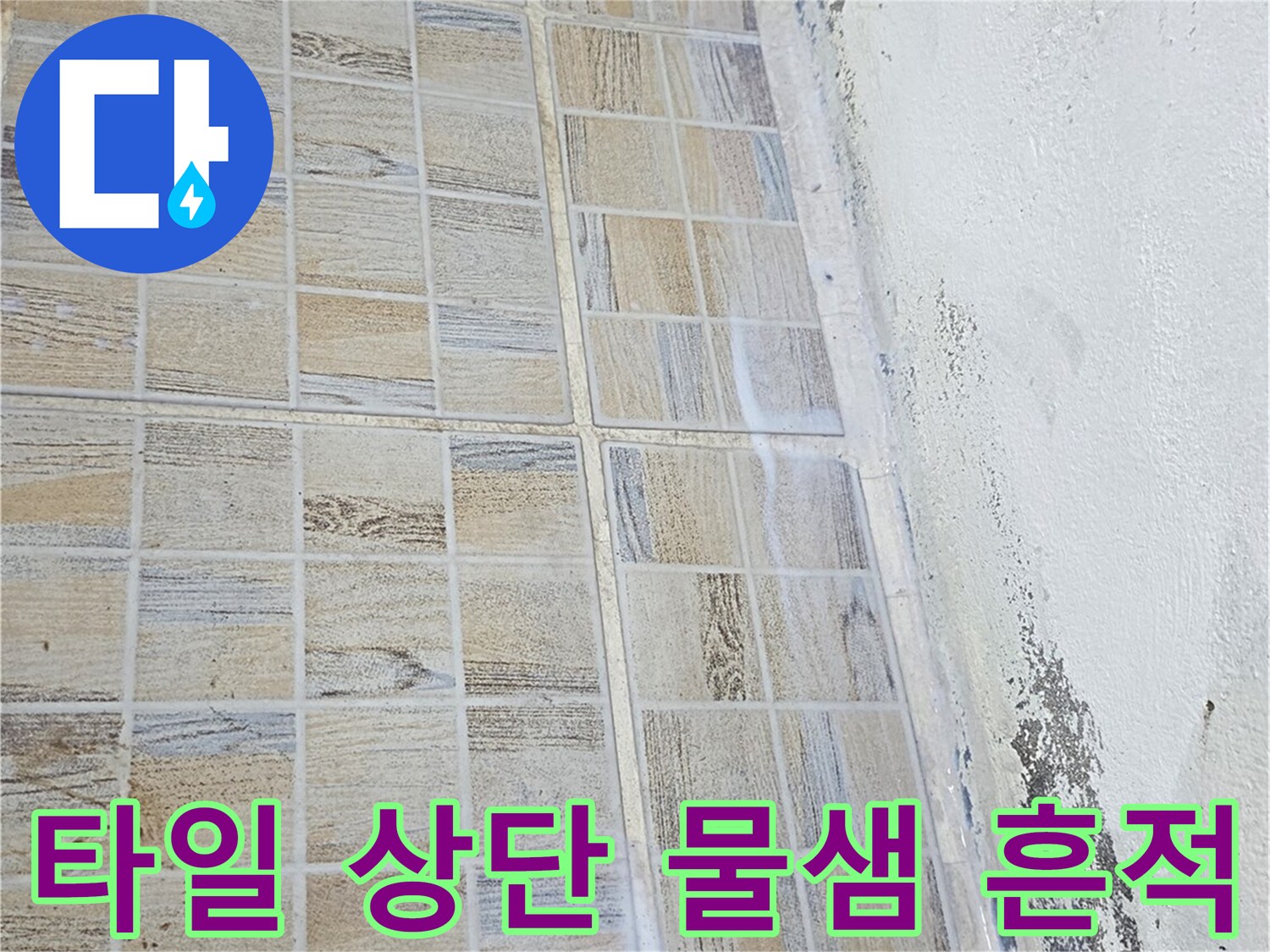 습기가 스며든 타일 벽면과 곰팡이 발생 부위 근접 촬영