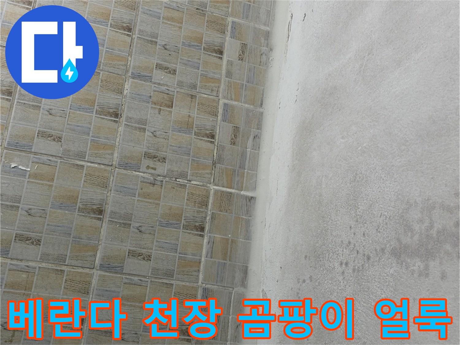 양천구 현장-베란다 천장에 발생한 넓은 범위의 곰팡이와 습기 흔적