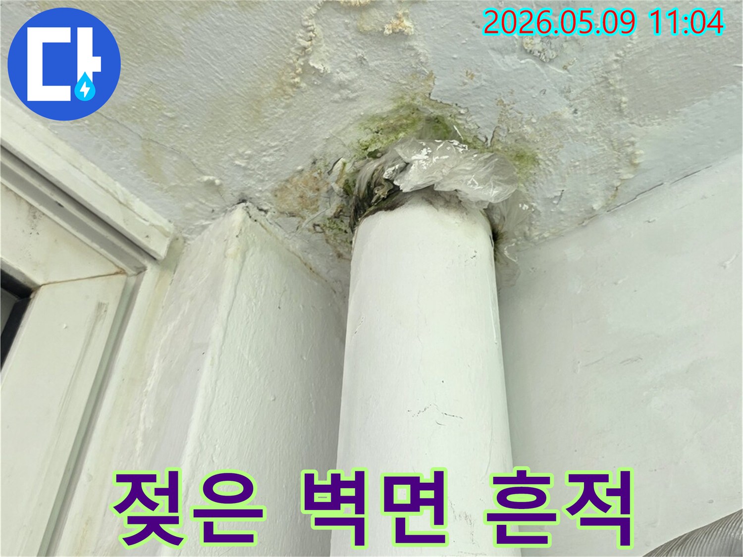 파이프 주변에서-시작된 누수로-젖어버린 벽면과-초록색 곰팡이-발생 현장