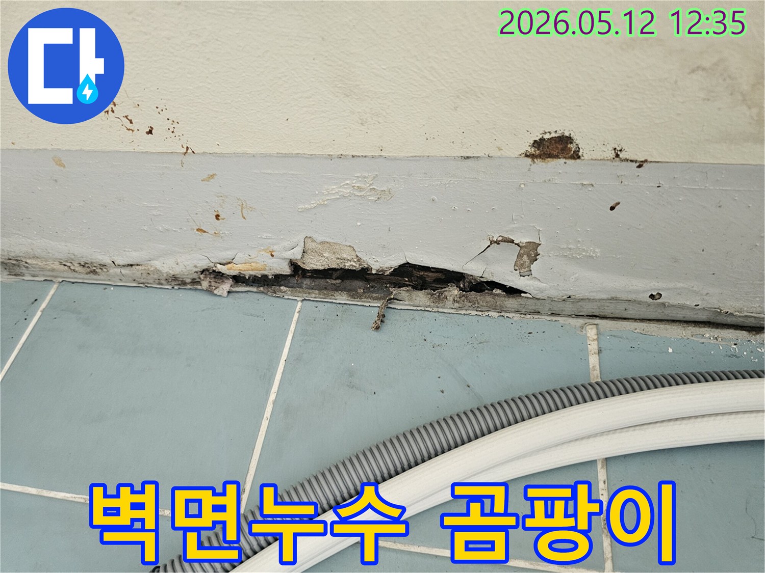 벽과-타일-경계면에서-발생한-심각한-누수-피해로-페인트가-벗겨지고-벽면이-손상된-모습