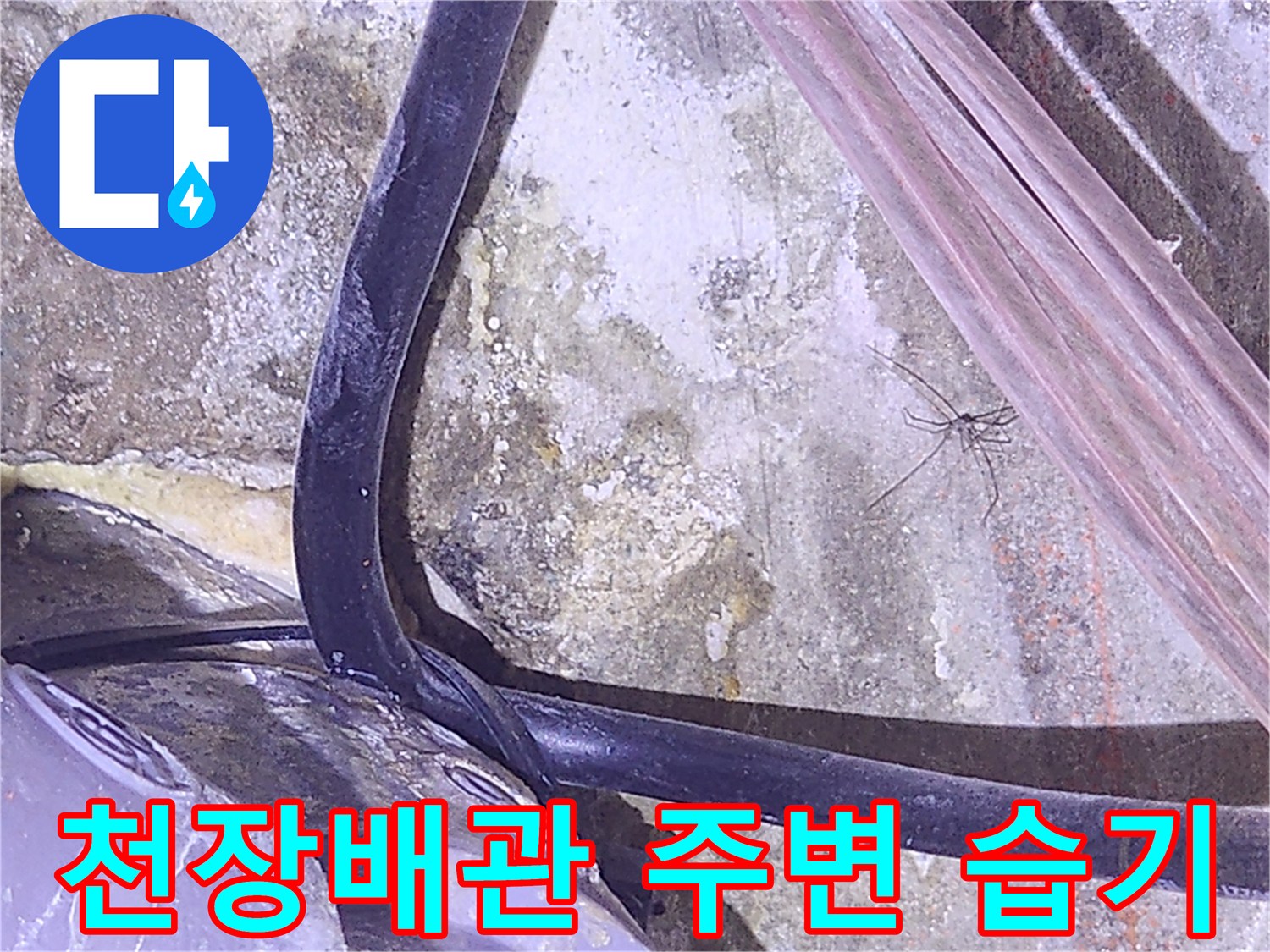 천장 내부-배관 주변의 젖은 상태를 보여주는 사진