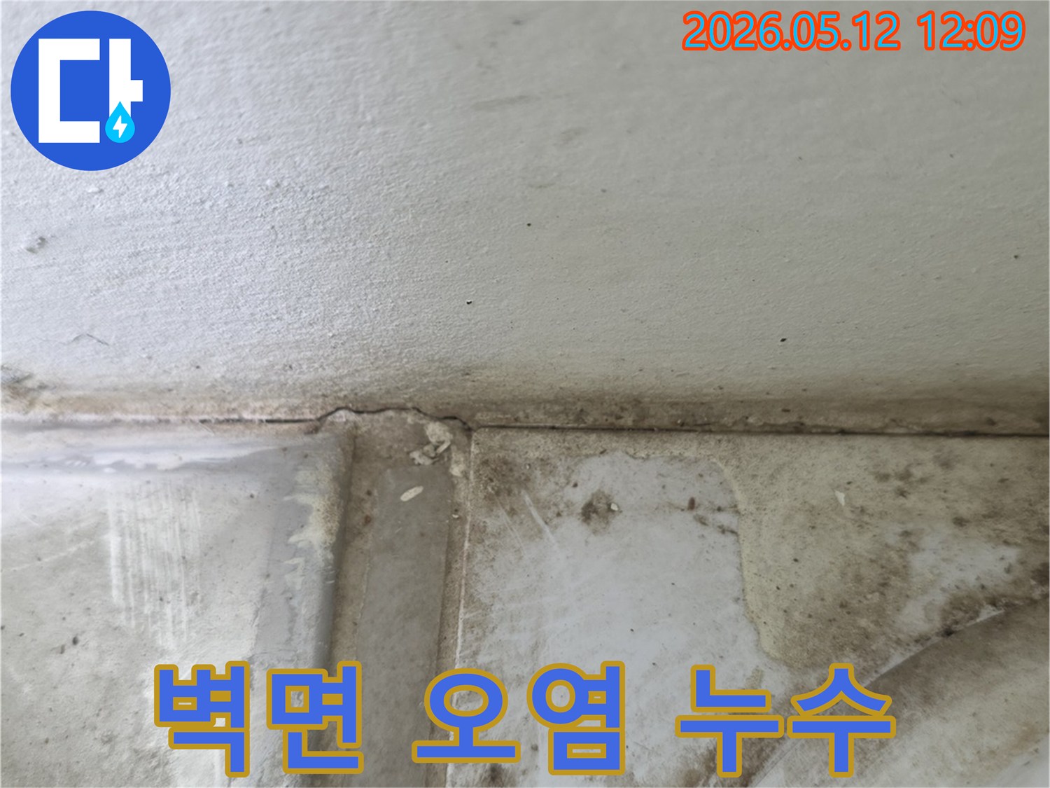 벽-모서리-틈새로-물이-새어-나와-곰팡이와-함께-벽면이-손상된-모습입니다.