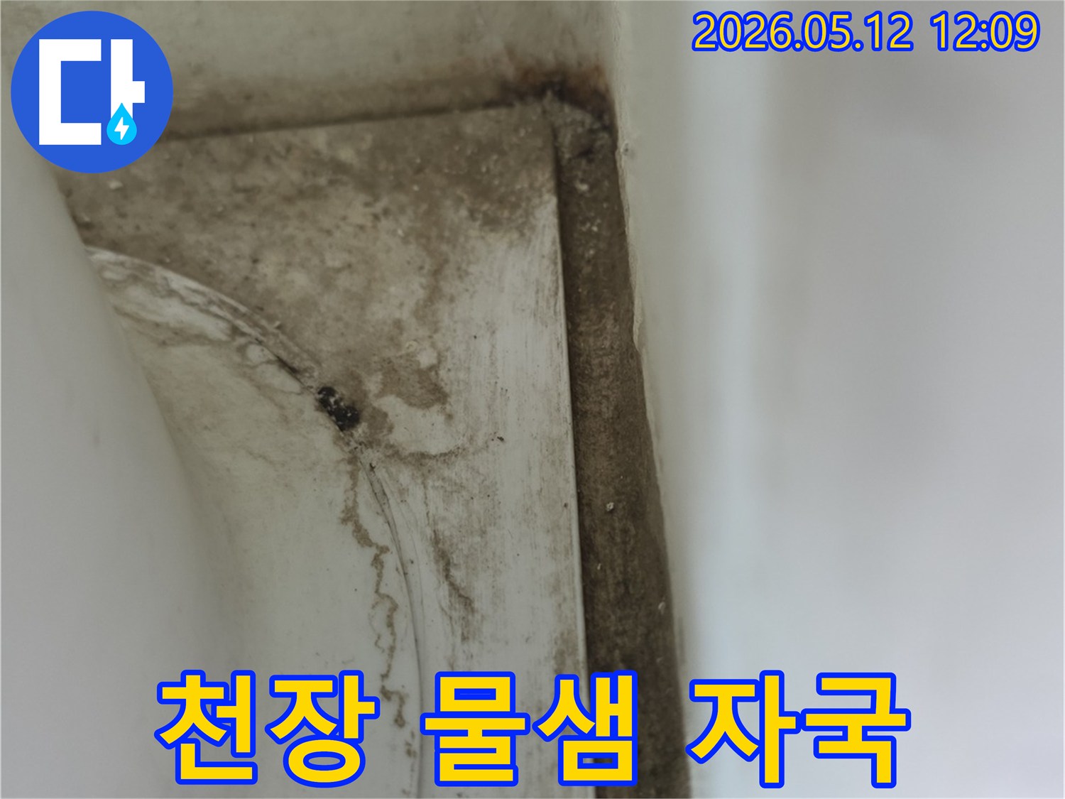 욕실-천장-모서리에-발생한-오래된-물얼룩과-곰팡이-자국으로-인한-손상