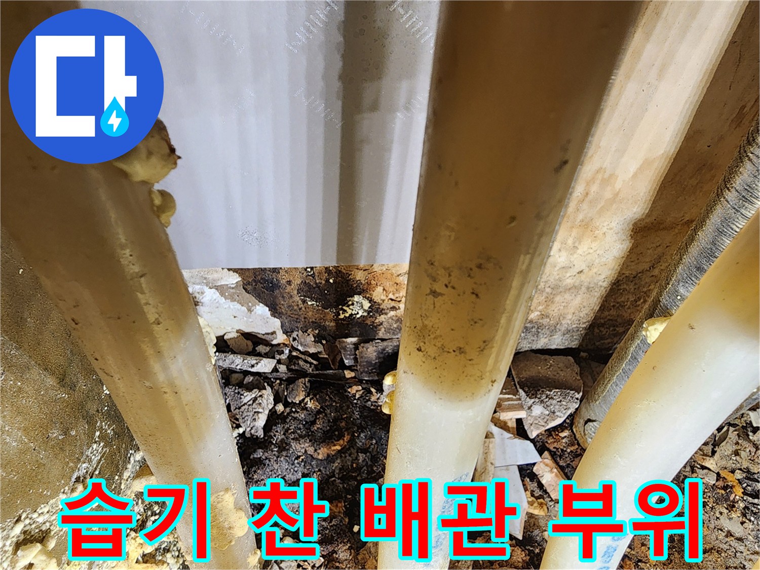누수-탐지-전문가가-발견한-배관의-미세한-균열과-주변의-물기