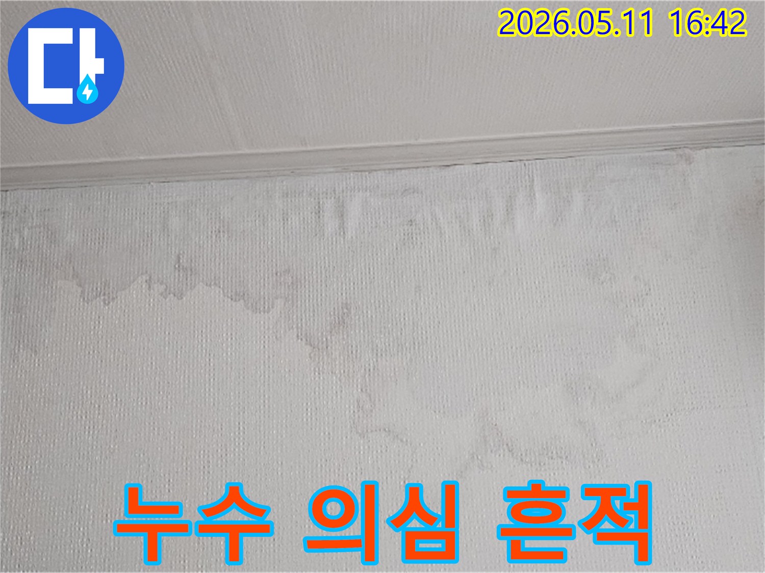 벽면에 나타난 물 얼룩과 벽지 손상은 누수의 명확한 증거입니다-전문 장비를 이용한 정밀 탐지가 필수입니다