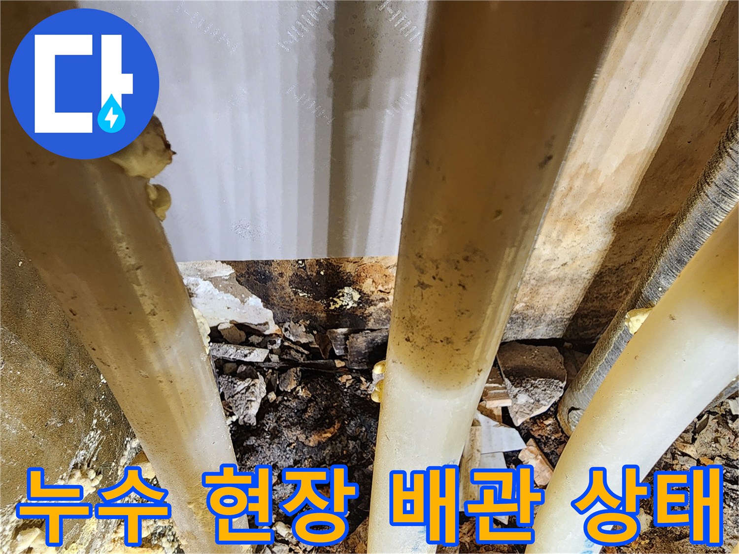 아파트-누수-탐지-중-발견된-습기로-가득한-배관-주변-환경