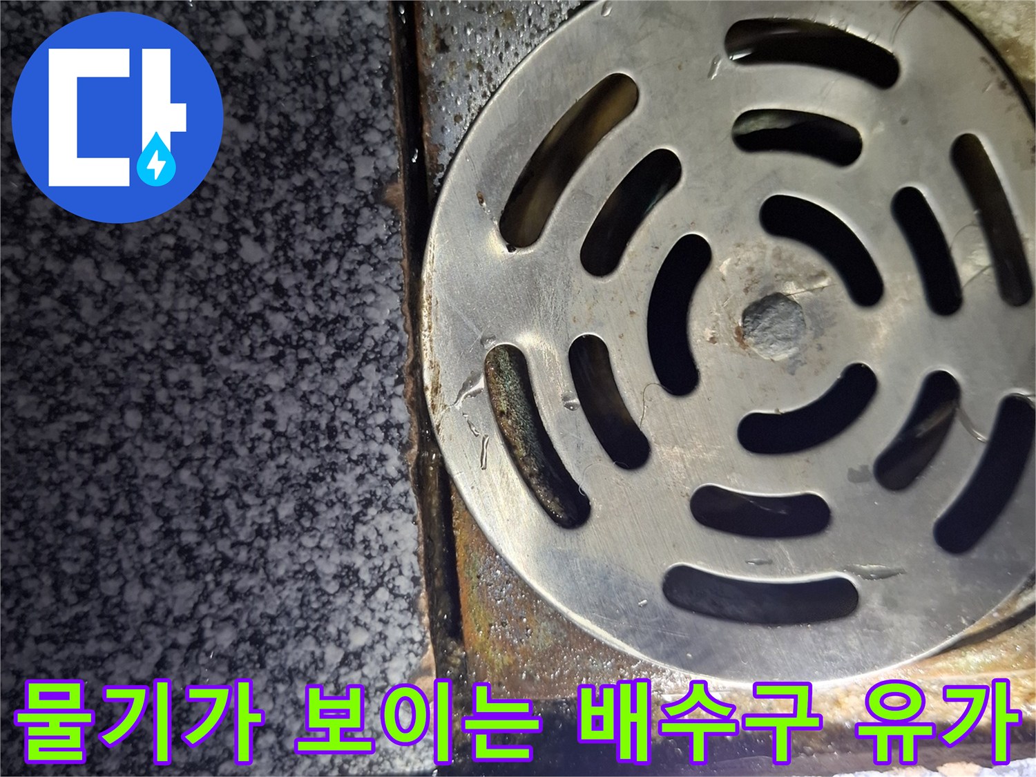 배수구 주변 타일 틈새에 물기가 스며든 상태의 사진입니다.