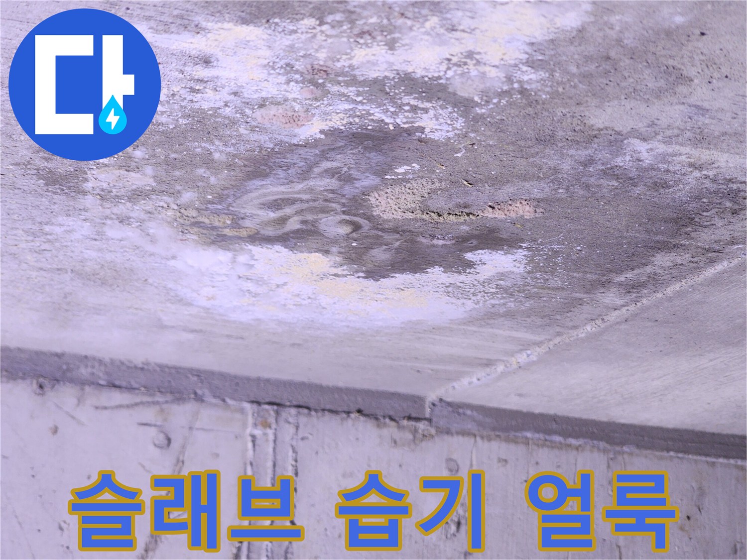 습기가 스며든-주방 천장 콘크리트 면의 상태