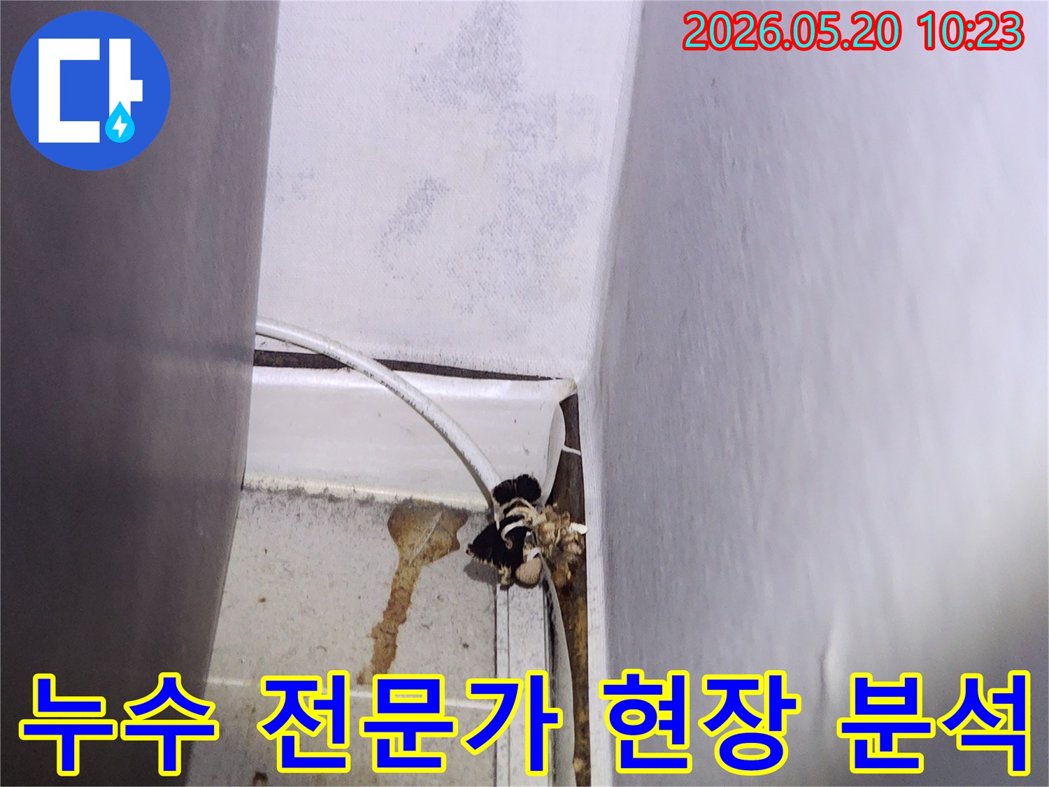 천장-누수로-인해-벽면에-생긴-곰팡이와-물자국을-누수-전문가가-현장에서-정밀하게-분석하는-모습입니다