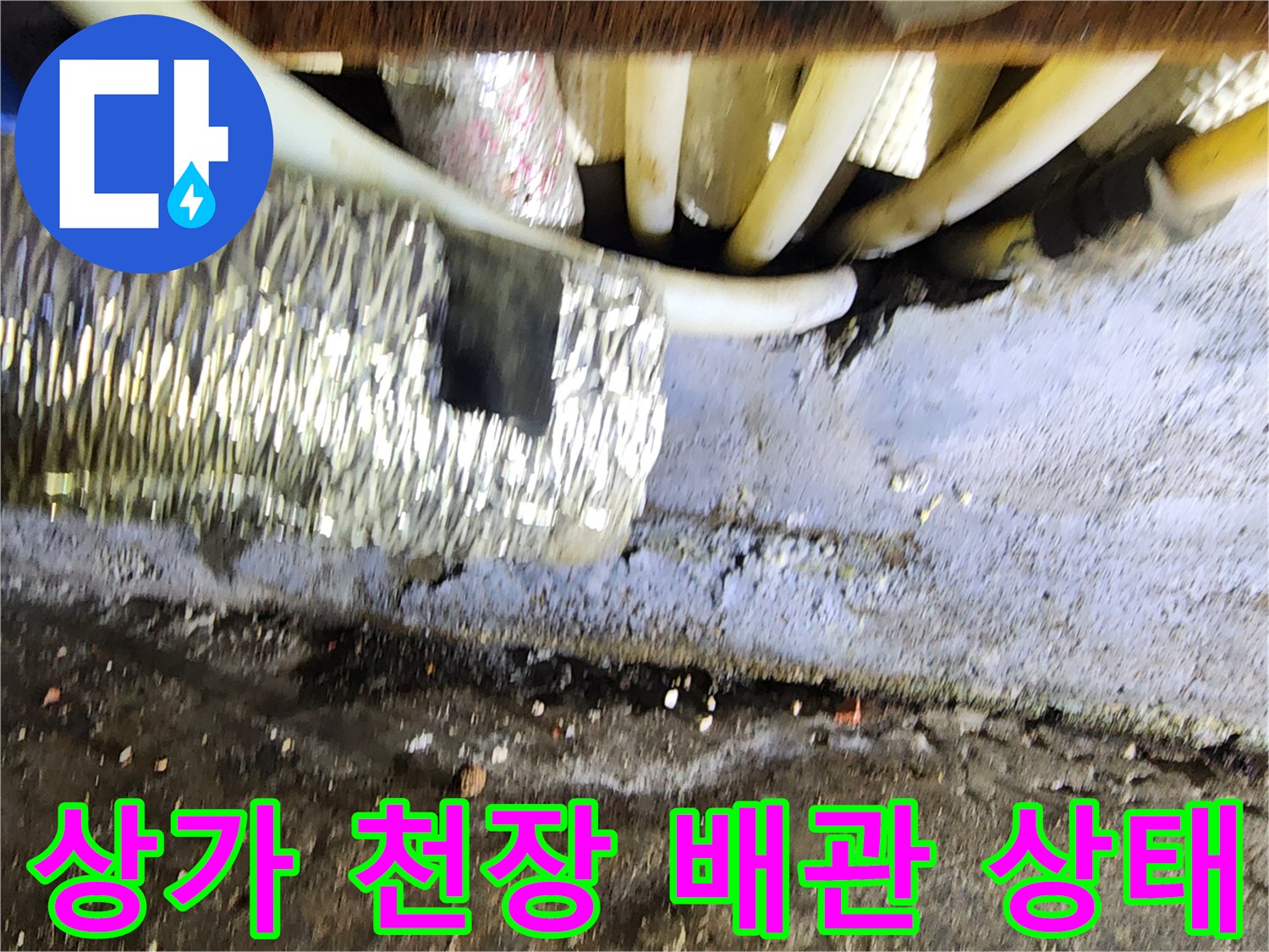 강서구 상가 천장-배관 노출 및 습기 확인