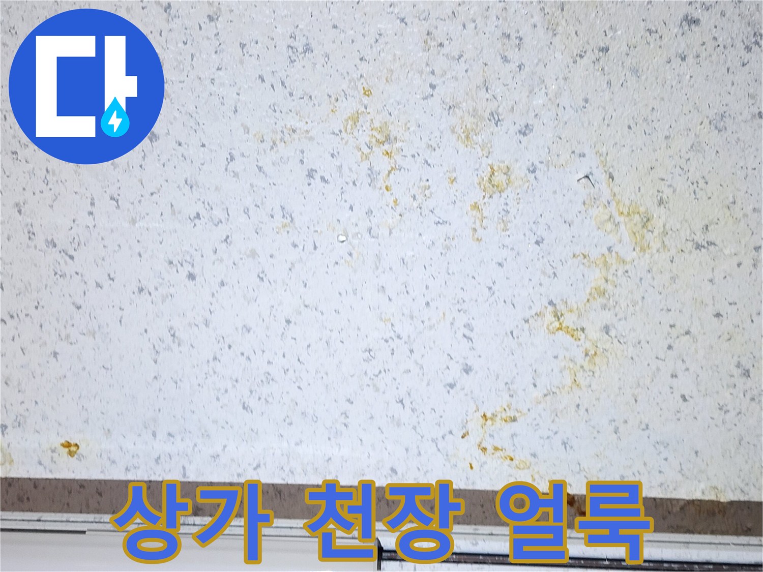 강서구-상가-천장재-누수-흔적-사진