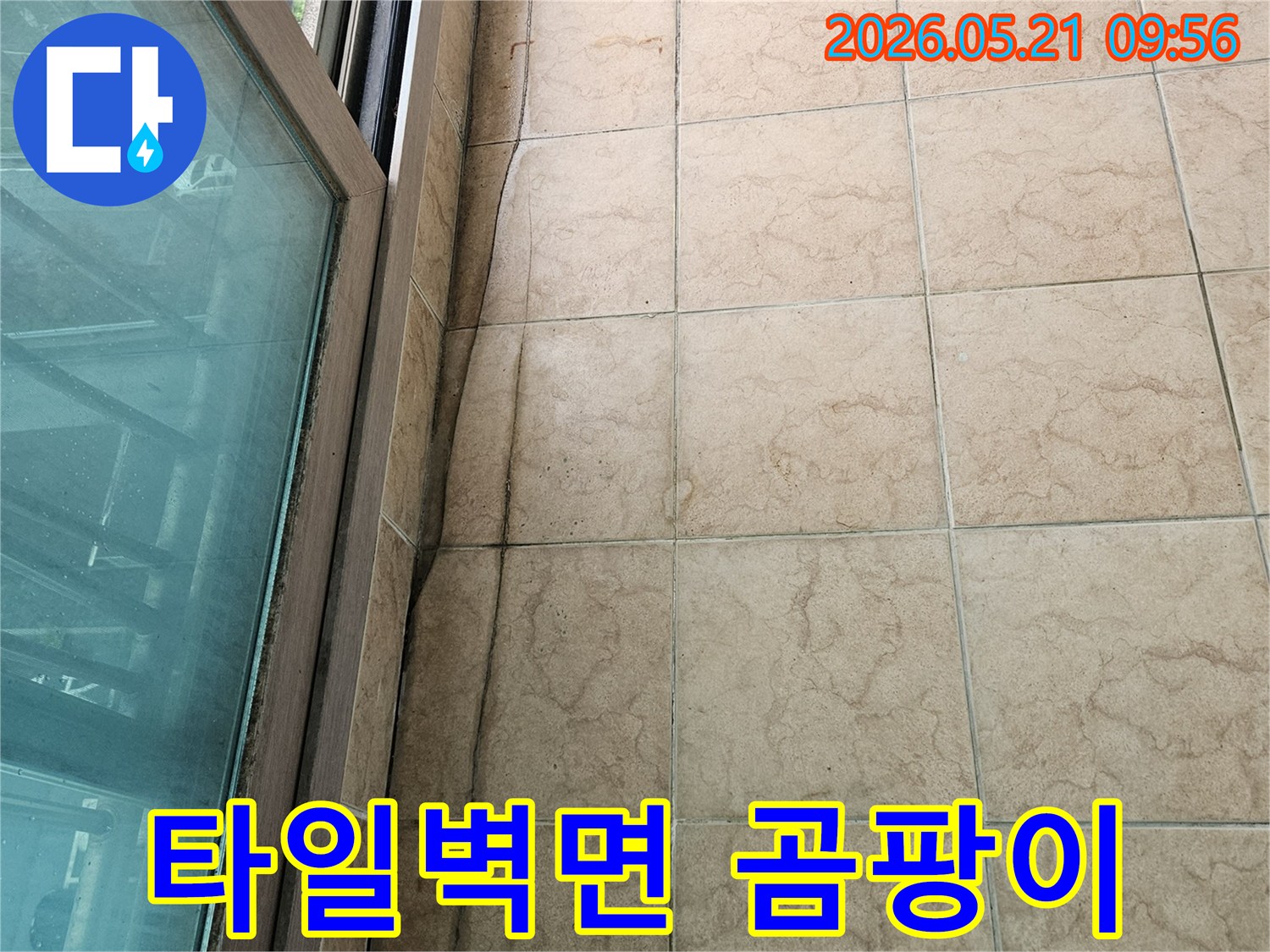누수로-인해-베란다-타일-벽면-하단에-생긴-물자국과-곰팡이-발생-현장