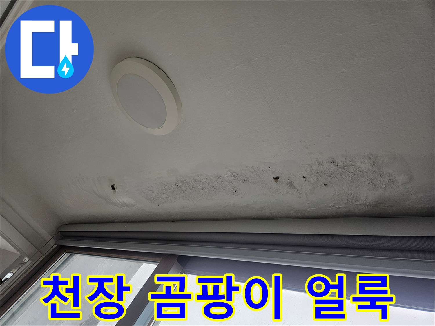 물샘으로 인해 변색되고 곰팡이가 생긴 천장 부분