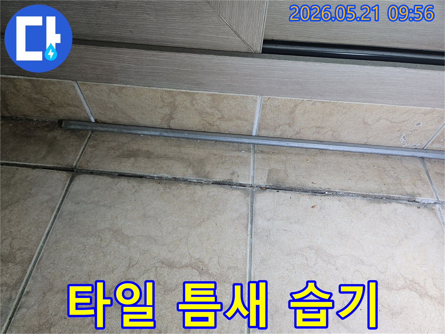 습기-침투로-인해-오염된-타일-틈새와-그-주변의-모습을-보여주는-현장-사진