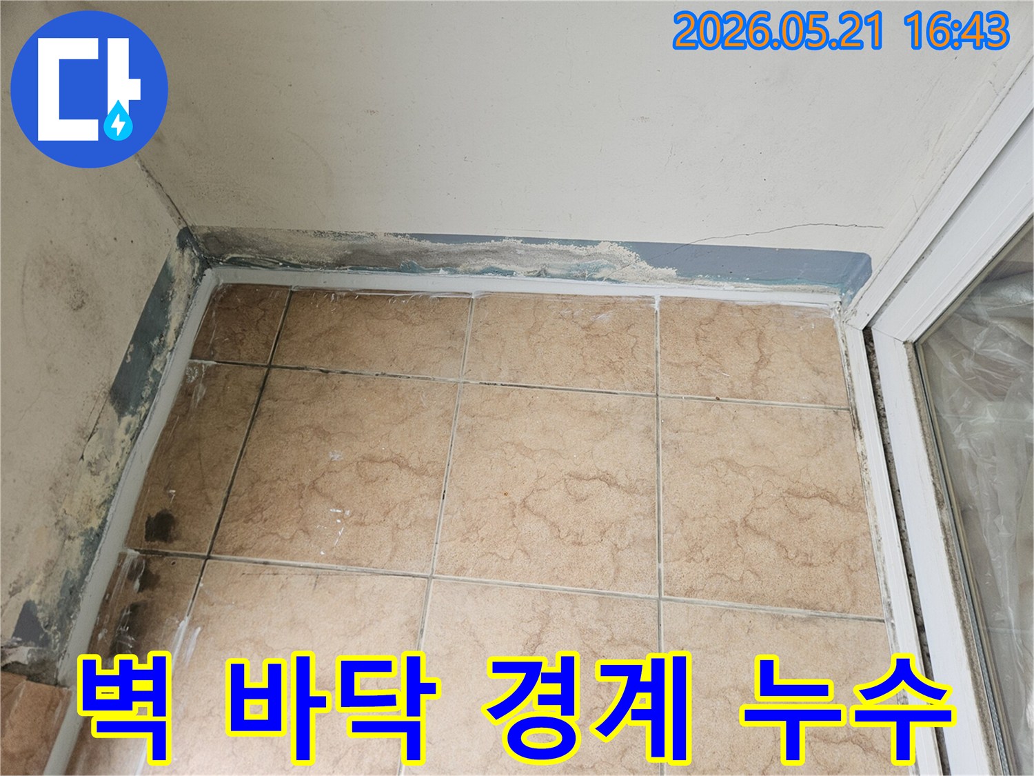 아파트 벽과 바닥 경계면에서 발생한 누수 흔적과 곰팡이를 보여주는 현장 사진
