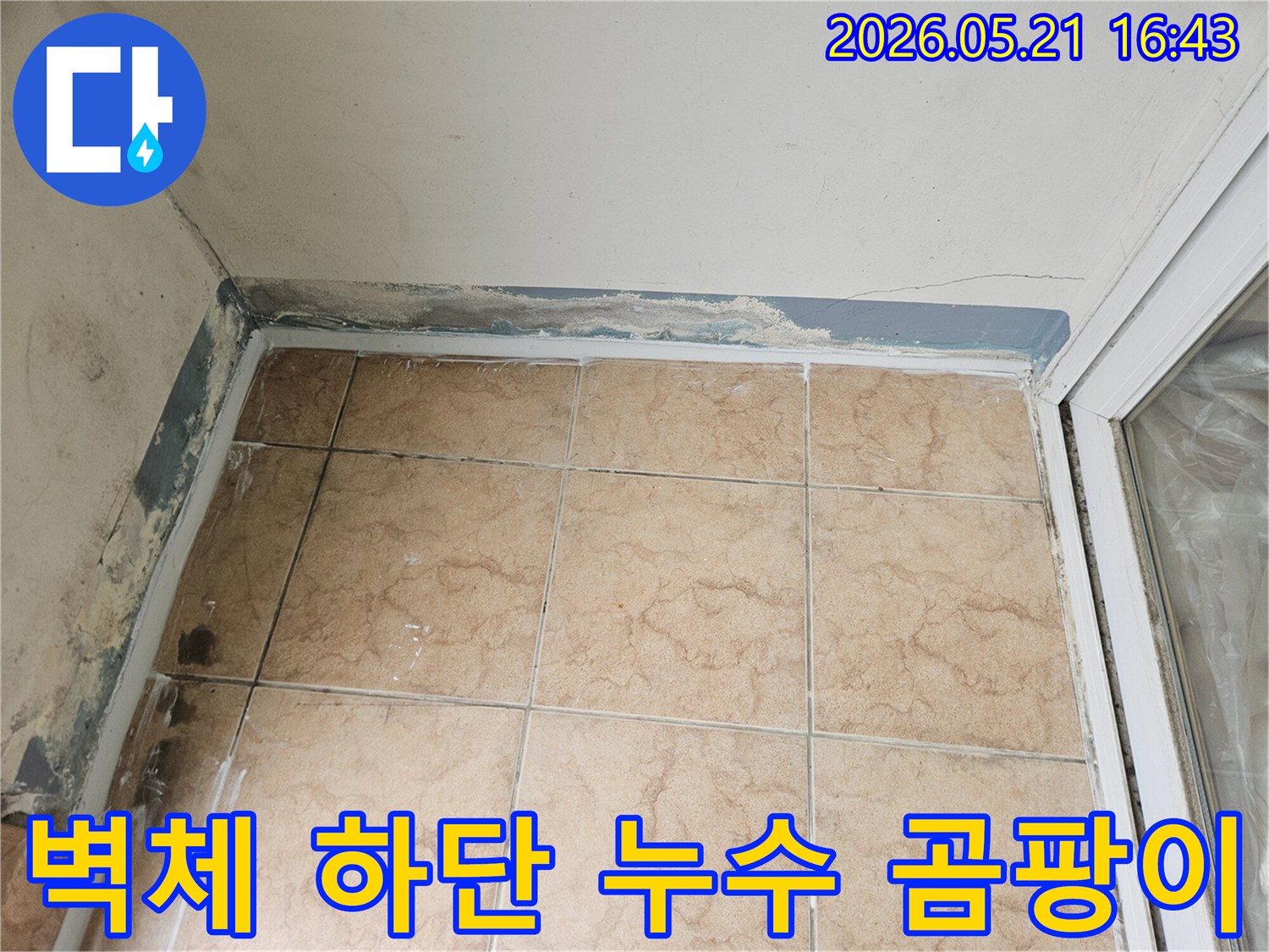아파트 벽체 하단에 누수로 인해 발생한 곰팡이와 물자국을 보여주는 사진