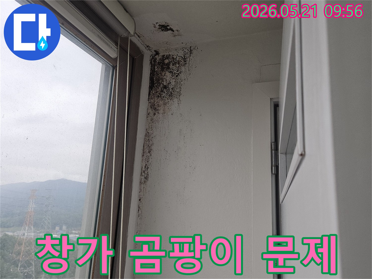 창문 상단 벽과 천장 모서리에 번식한-검은 곰팡이-습기-누수-피해 현장