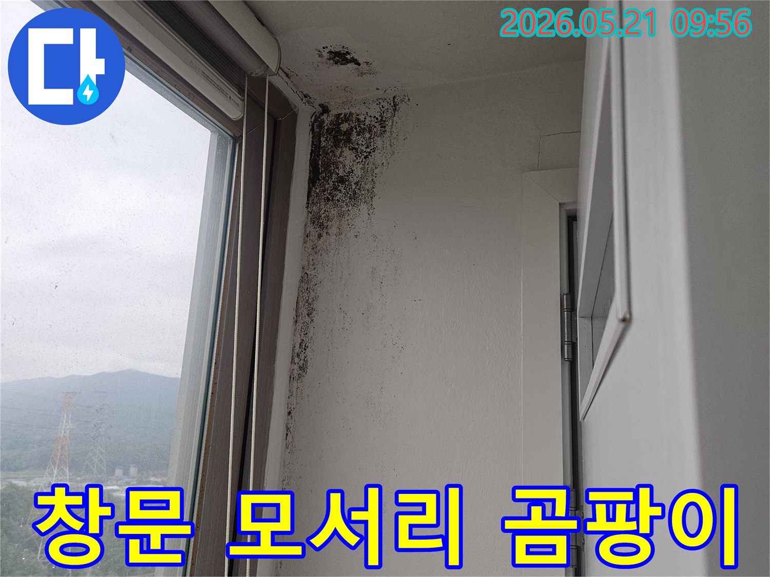 창문 주변 벽과 천장 모서리에 생긴-심각한 곰팡이-오염-현장을 담은 사진