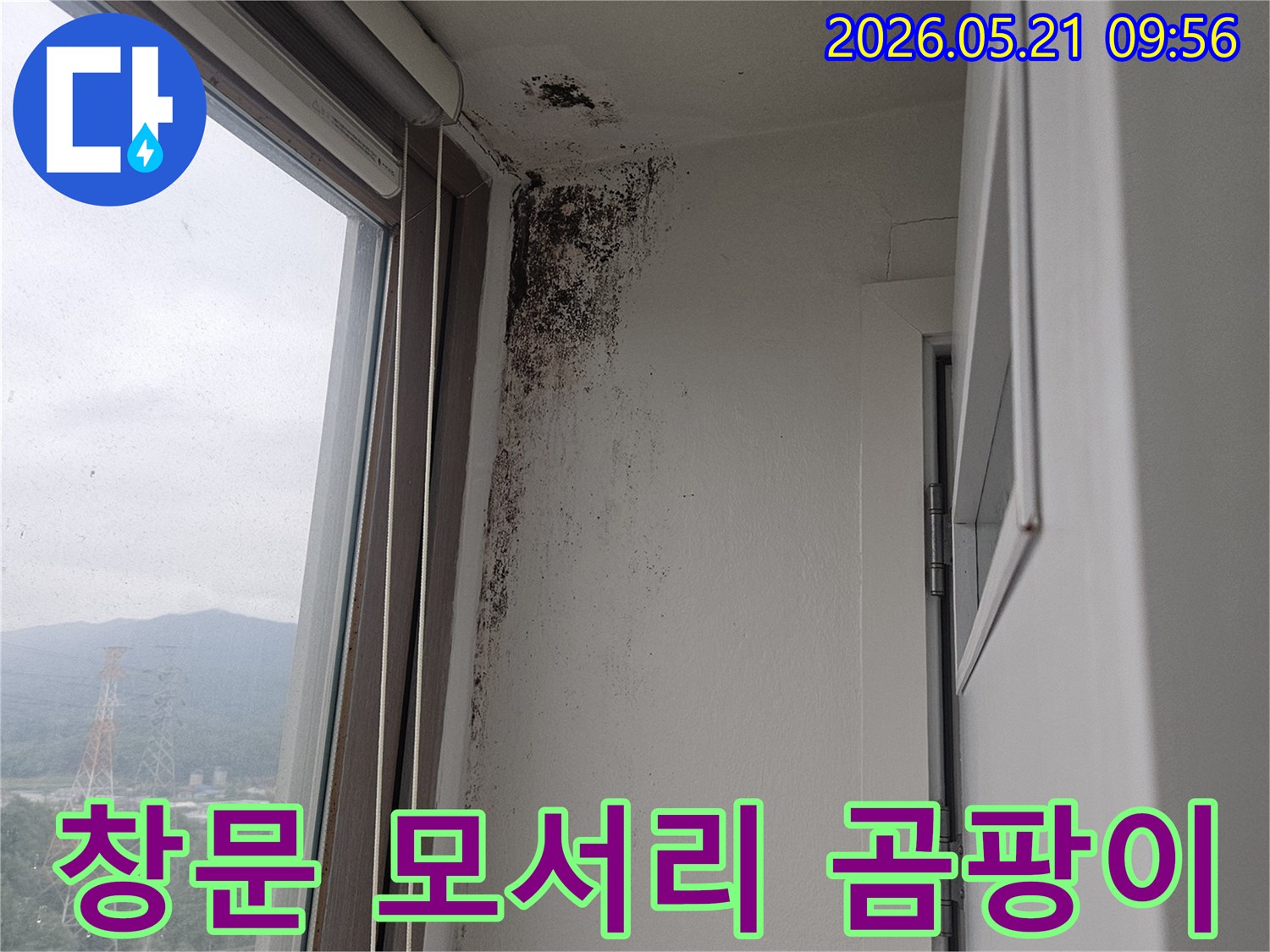 창문 주변 벽과 천장 모서리에 생긴-심각한 곰팡이-오염-현장을 담은 사진