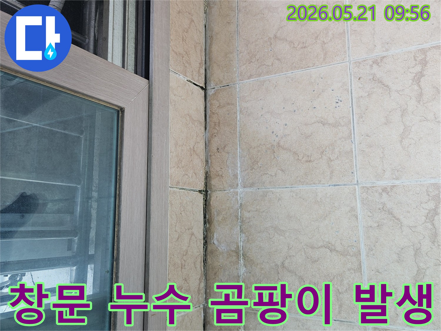 창문-하단-타일-틈새에-발생한-누수-곰팡이-모습을-확대한-사진