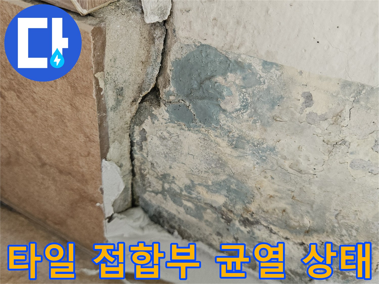 타일 사이 벌어진 틈과 벽면의 습기 오염 상태