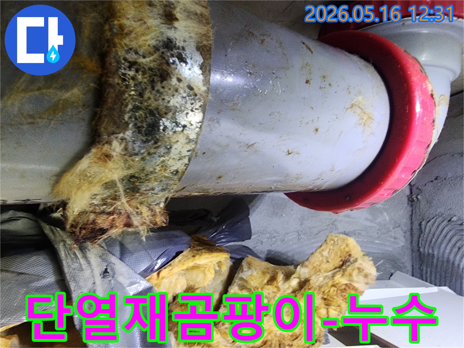 누수로 인해 단열재에 생긴 곰팡이와-물에 젖어 변색된 배관의 모습입니다