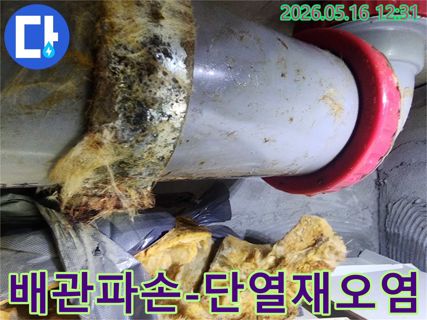 배관 파손으로 인해-물이 새어 나와-단열재가 심하게 오염된 현장을-저희가 확인했습니다