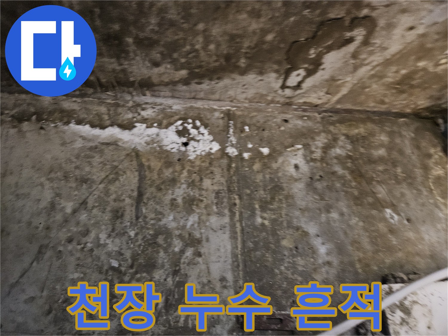 물샘으로 인해 검게 얼룩진 천장 콘크리트 면