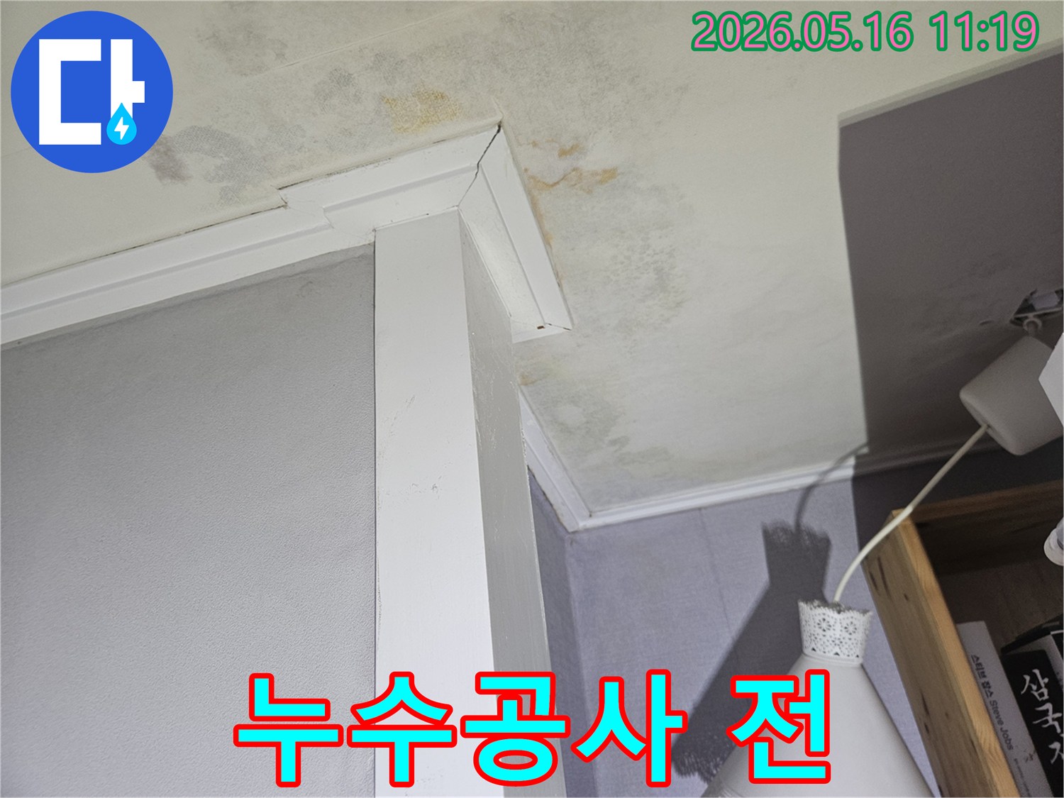 물자국과-함께-벽면-몰딩-주변으로-확산된-천장-곰팡이-문제를-명확히-보여줍니다.