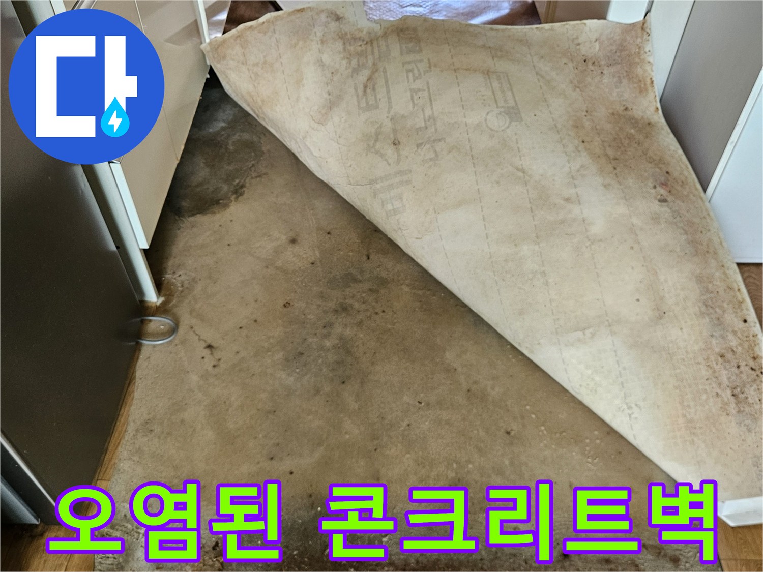 습기 침투로 인한-콘크리트 벽면 곰팡이 오염 현장