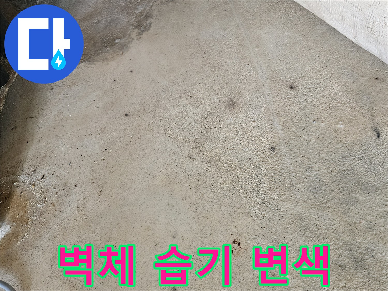습기로 인해 어둡게 변한 콘크리트 벽면과 벽지 경계선