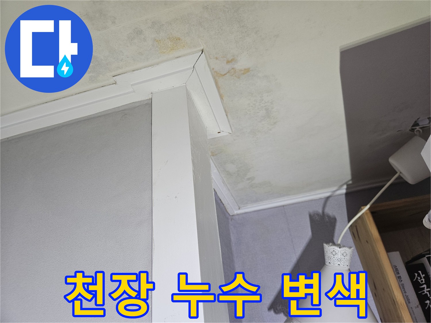 천장 몰딩 주변의 젖은 벽지와 곰팡이 얼룩 현상