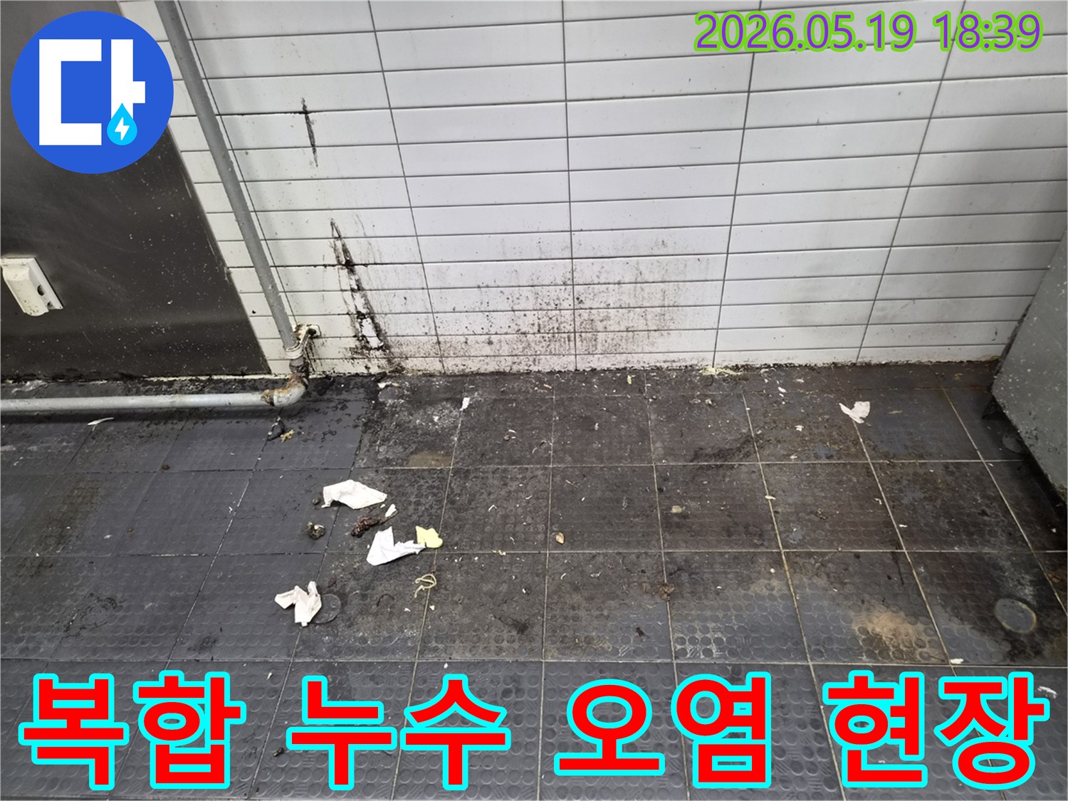 복합적인 누수 원인으로 인해-벽면과 바닥 타일이 심하게 오염되고 곰팡이가 발생한 현장