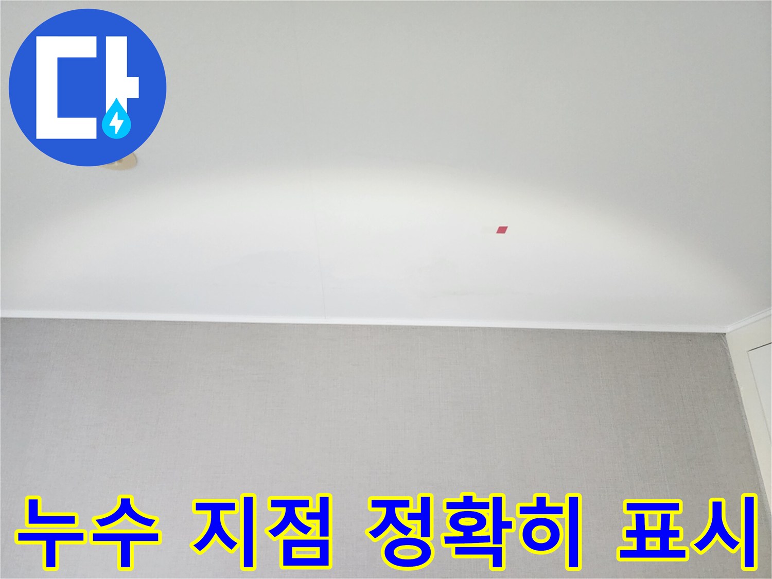천장-누수-지점을-정확히-표시하여-수리-계획을-세우는-모습