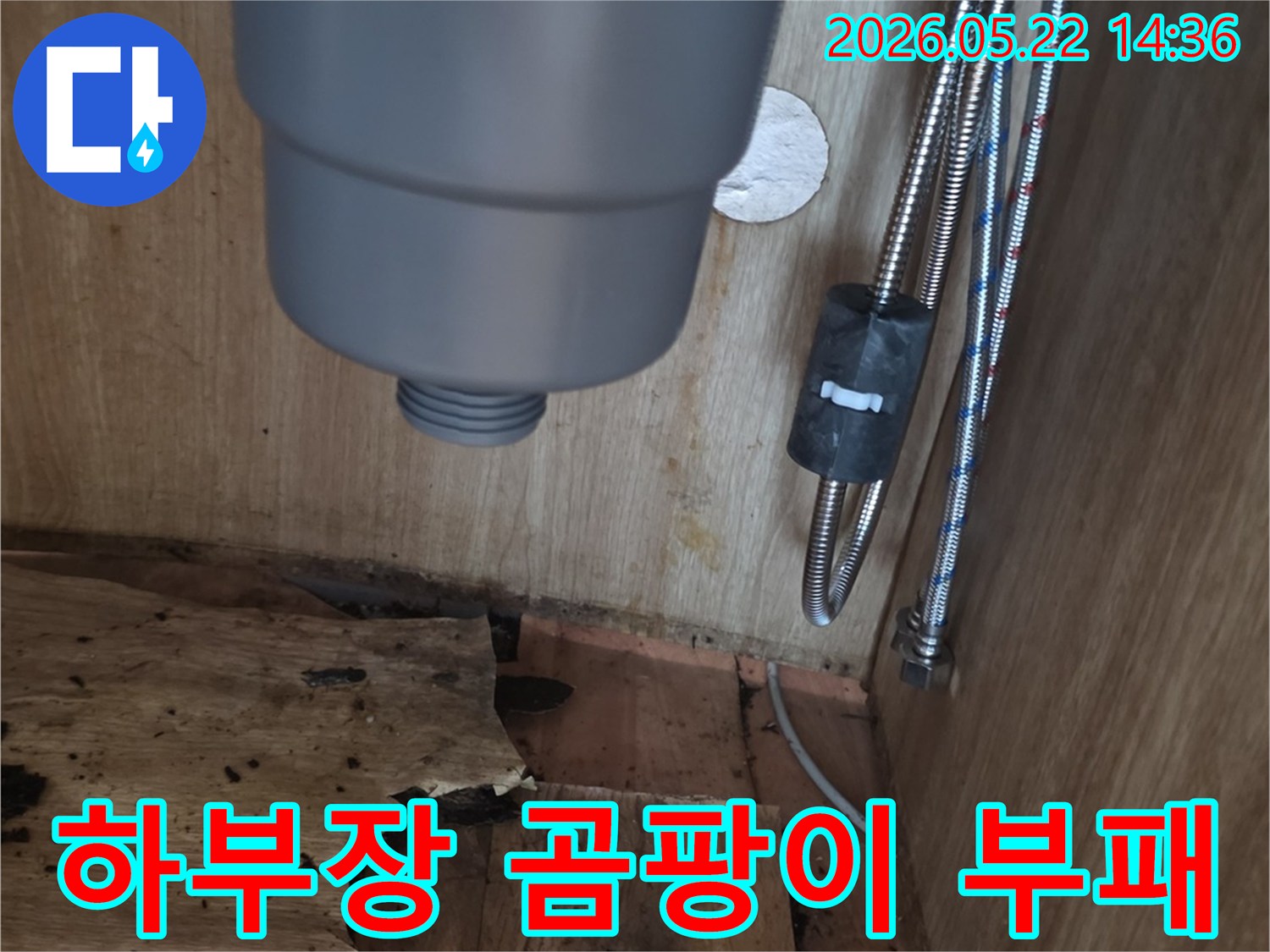 싱크대 하부장 내부의 젖은 목재에서 발생한-곰팡이와 부패 현상-그리고 배관의 모습을 담은 이미지