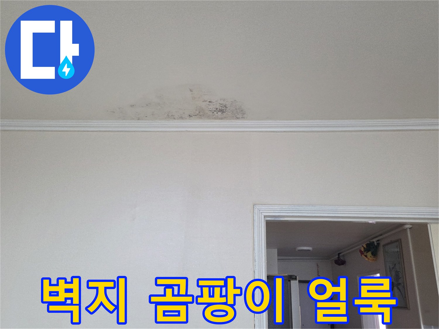 천장-벽지에-넓게-퍼진-물샘-흔적과-변색된-부위