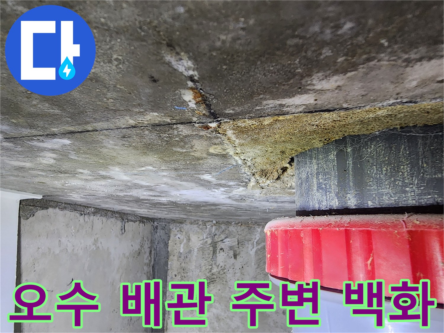 배관 연결 부위-콘크리트 틈새의 습기 및 백학 현상 사진