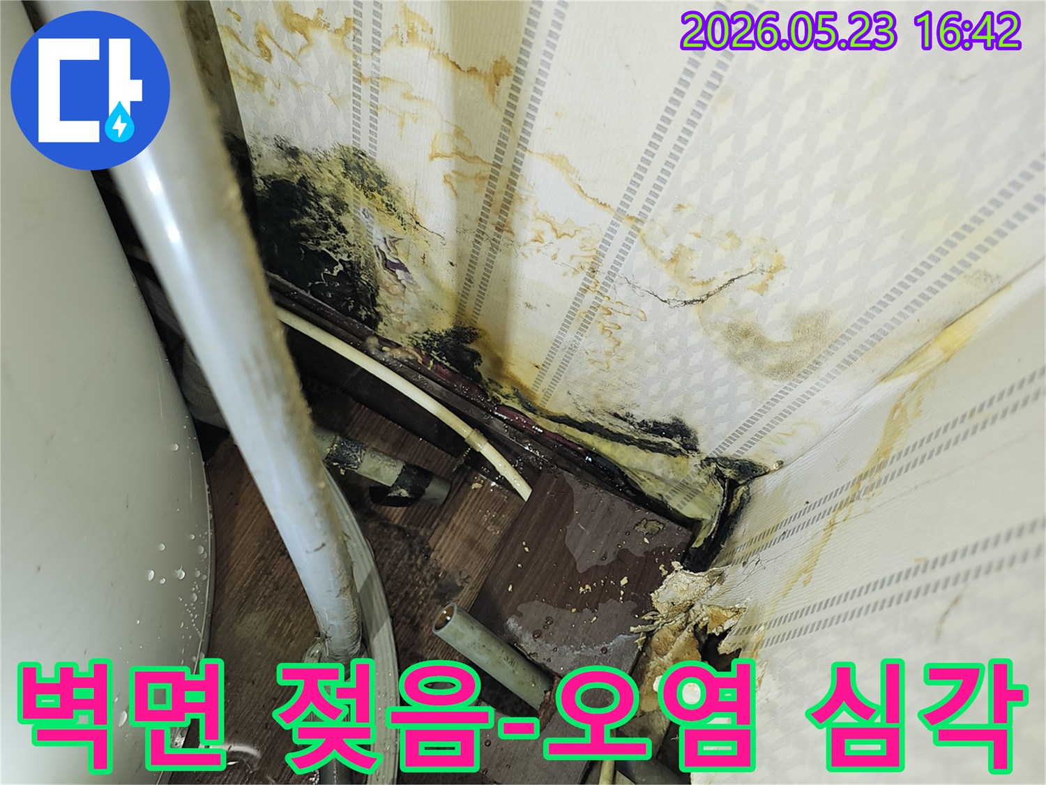 벽면 하단부가 물에 젖어-심하게 오염되고-곰팡이가 번식한-누수 현장 이미지입니다.