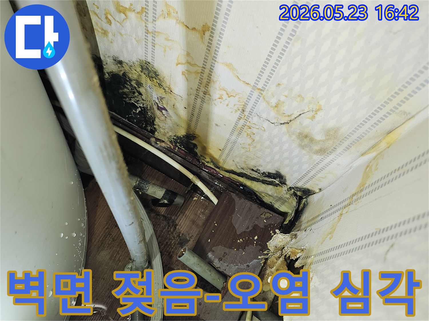 벽면 하단부가 물에 젖어-심하게 오염되고-곰팡이가 번식한-누수 현장 이미지입니다.