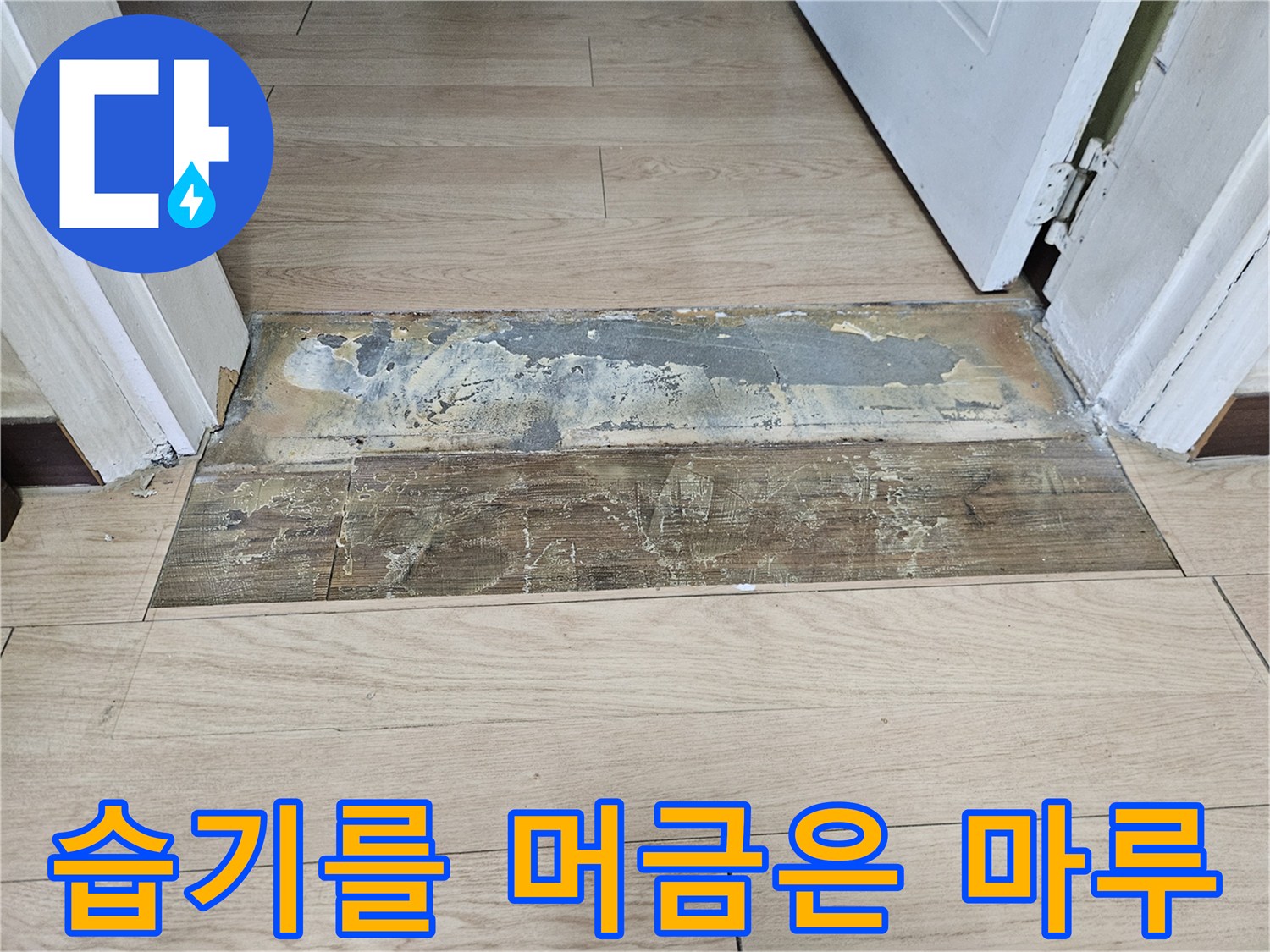 현관 입구 쪽-물샘으로 인해 변질된 나무 마루