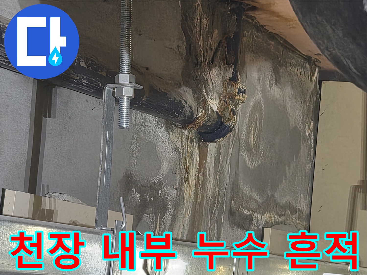 배관 주변의 젖은 슬라브와 오염된 천장 구조물